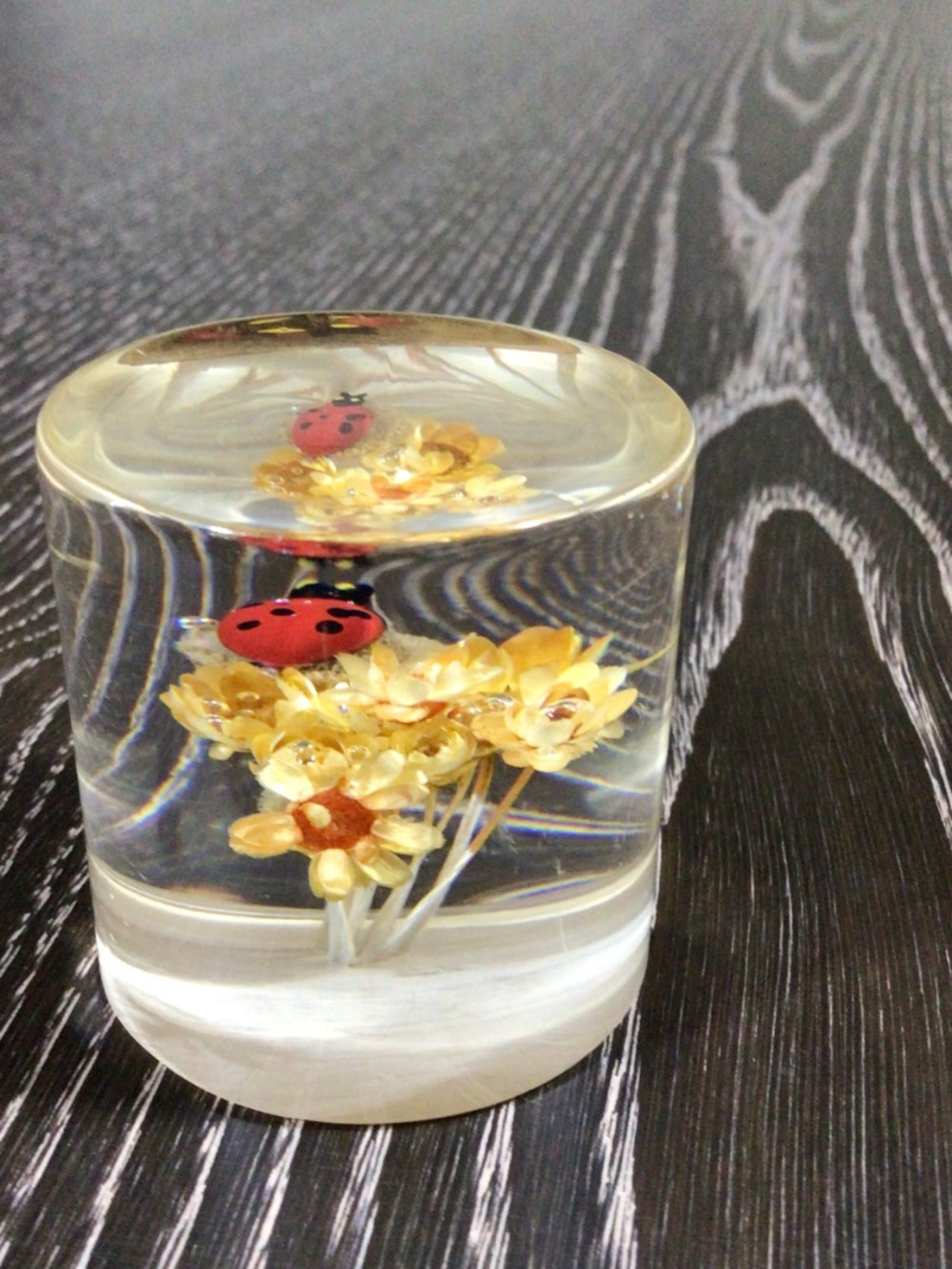 Vintage 1970s Daisyglas Lucite Paperweight Real Dried Flowers